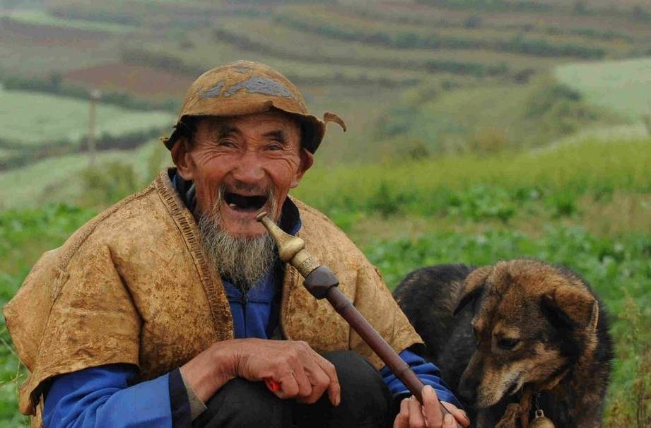 眾所周知烏龜是最長壽的動物,他們的平均年齡能夠達到三百歲,有的烏龜