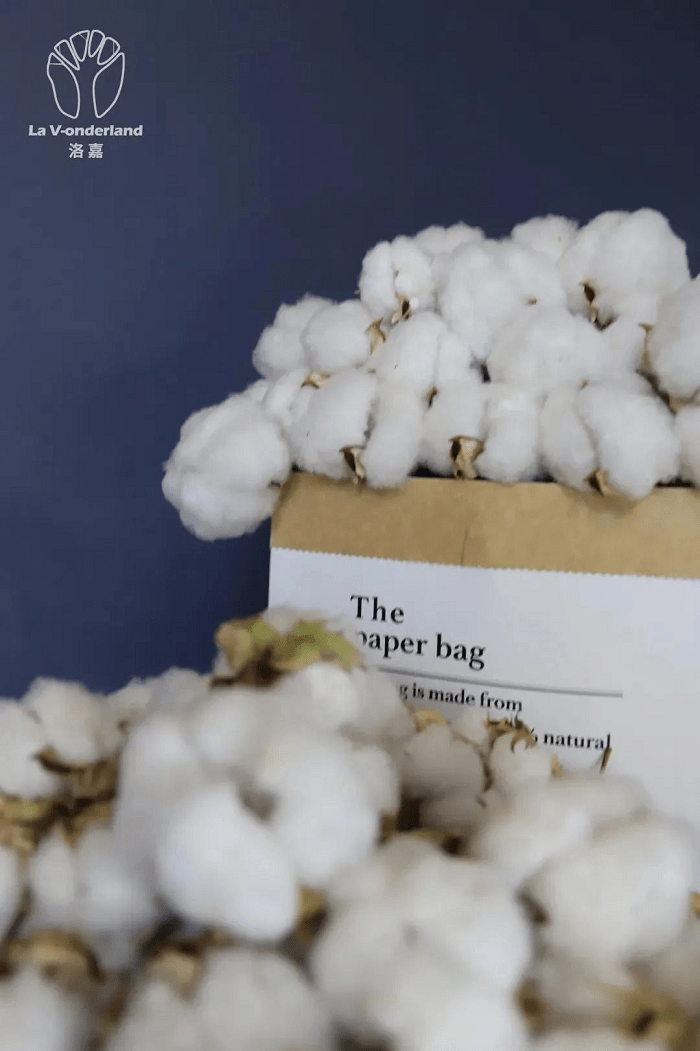 天津?超以象外 奥雅设计天津城市论坛暨天津公司开业仪式即将呈现