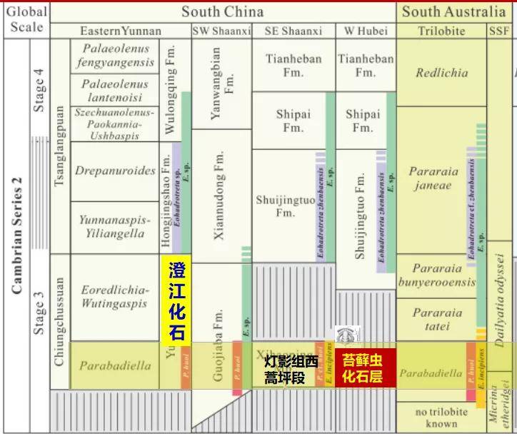 舒德|西北大学博士Nature发文：在陕南镇巴发现地球最早的苔藓虫化石