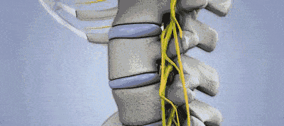 颈椎|有多少人年纪轻轻就“脊”病缠身？