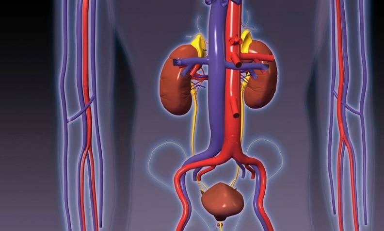 方法|左肾下盏有5mm x 7mm的肾结石，如何治疗效果好？