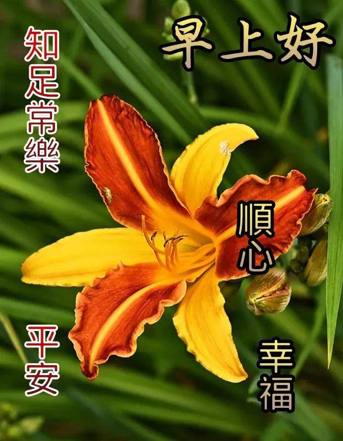 祝早安快樂每一天!