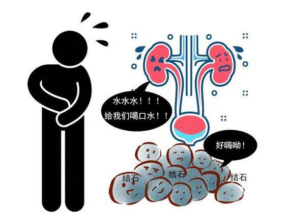 肾脏|提醒：这些饮食坏习惯，尽量改掉！小心“肾脏”长石头