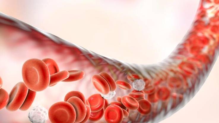 关键|肾病预防尿毒症只看血肌酐?你就错了!这2项指标才是关键