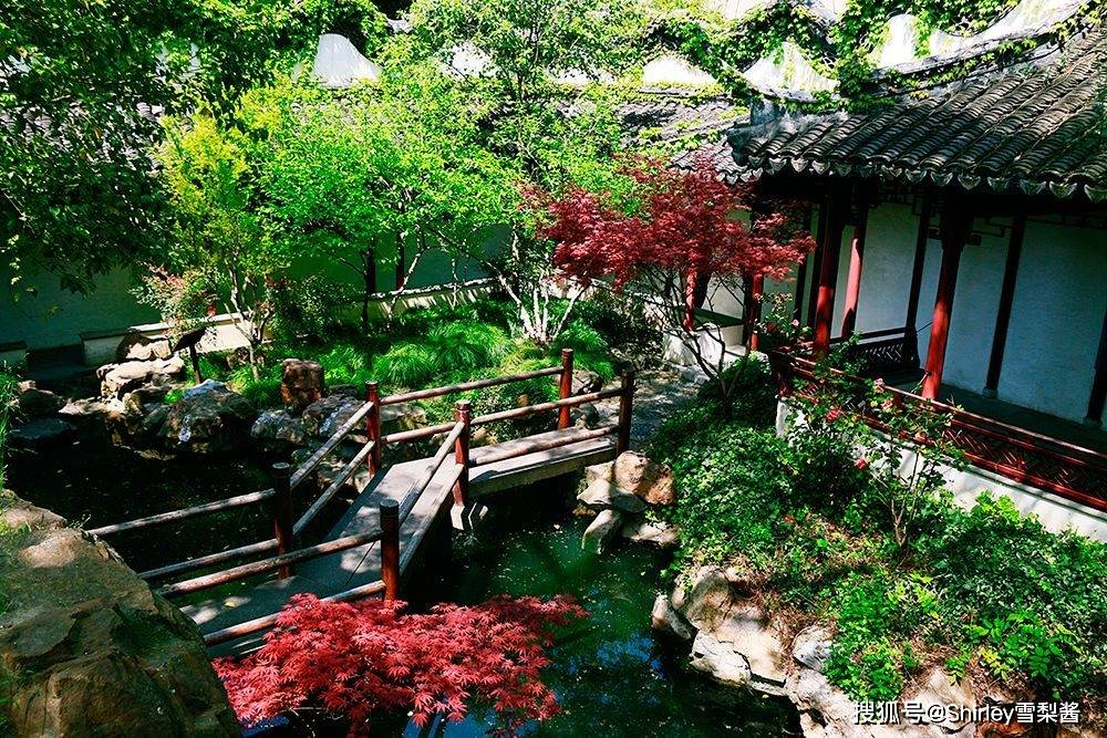 上海现存最小的古典园林，藏于福利院内，许多上海人都没听说过