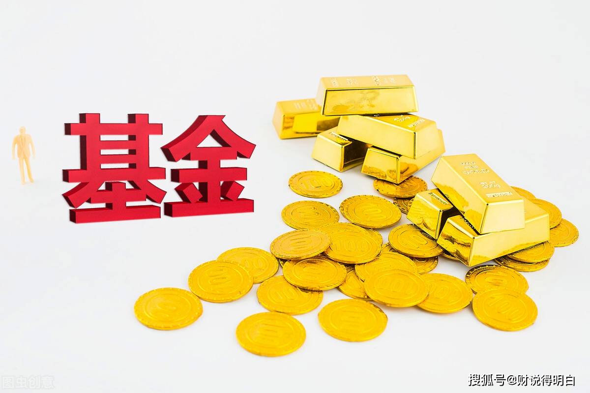 基金小白1，基金分类及特点，大盘小盘蓝筹是什么意思_搜狐网
