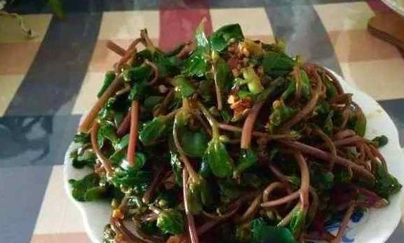 的作用|血糖不稳别着急，天然的“稳糖药”每天吃一点，血糖稳降不再涨！