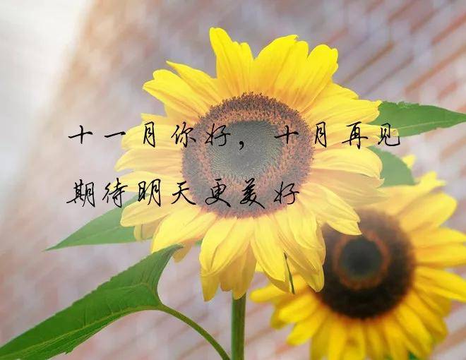 原创十月再见十一月你好期待明天更美好