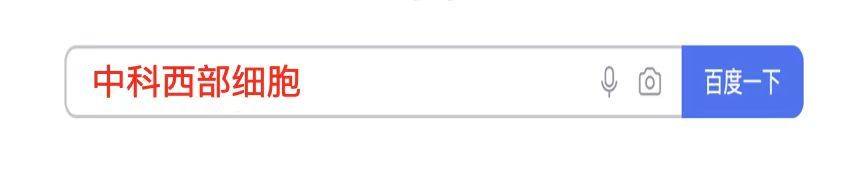 治疗|中科西部干细胞研究院：间充质干细胞治疗糖尿病肾病的作用与机制