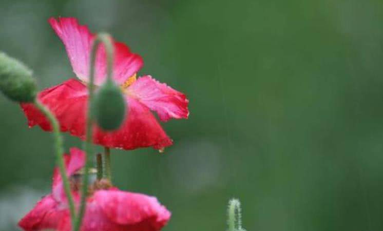 从8月开始运势上升 好运持续 财源滚滚 财富四溢的三大星座 幸运 全网搜 从8月开始运势上升 好运持续 财源滚滚 财富四溢的三大星座 幸运 全网搜