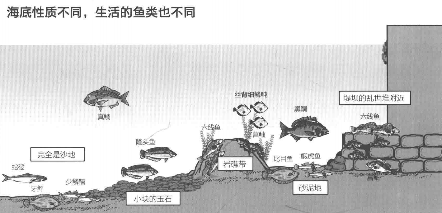 日本专业海钓入门书籍】海钓投钓选好钓点对象鱼中鱼无数_海礁- 全网搜