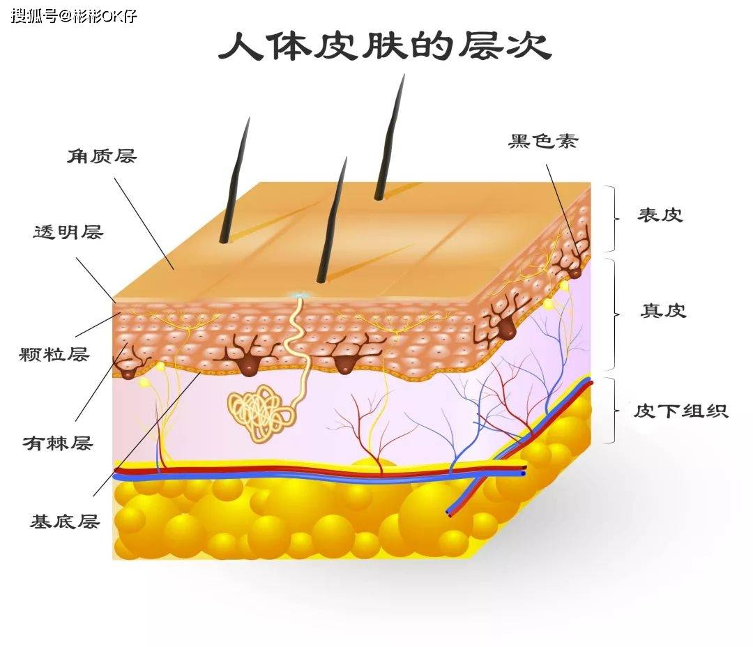 脸部你所知道的护肤“伪概念”有哪些？你又对哪些概念深信不疑呢？