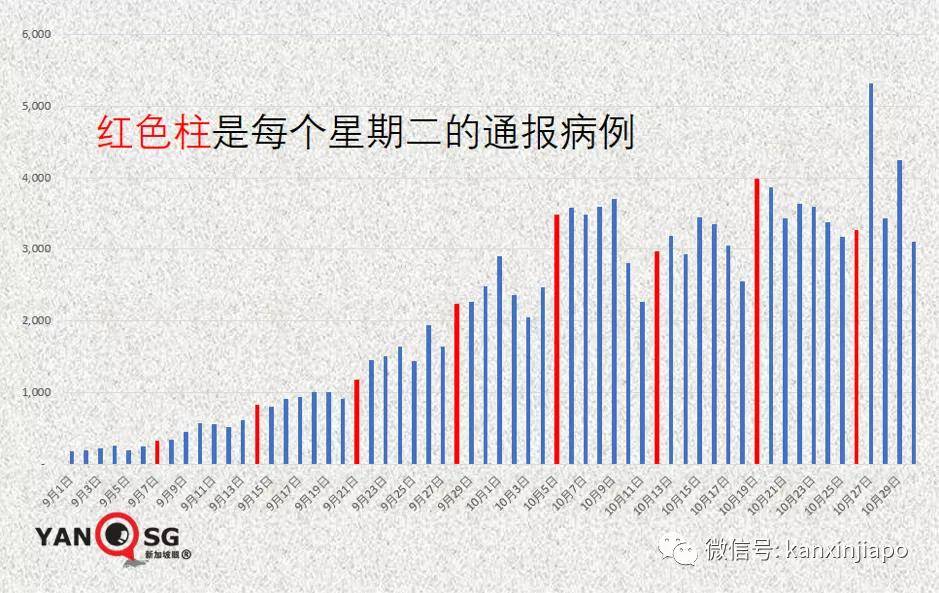 住户|“黑色星期二”——为何新加坡新增病例逢二必增？