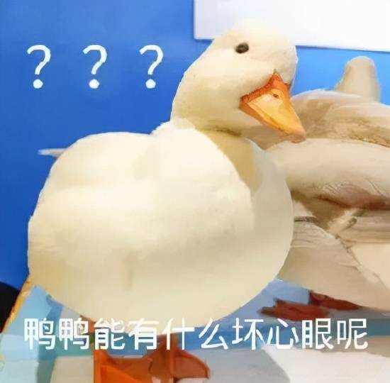 欢乐谷别当鬼了，抓他去出道吧…