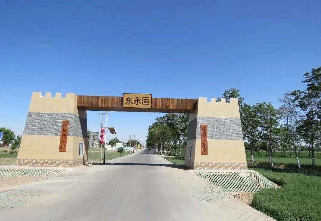 全国一村一品示范村镇名单新鲜出炉,石嘴山市东永固村成功入选_枸杞