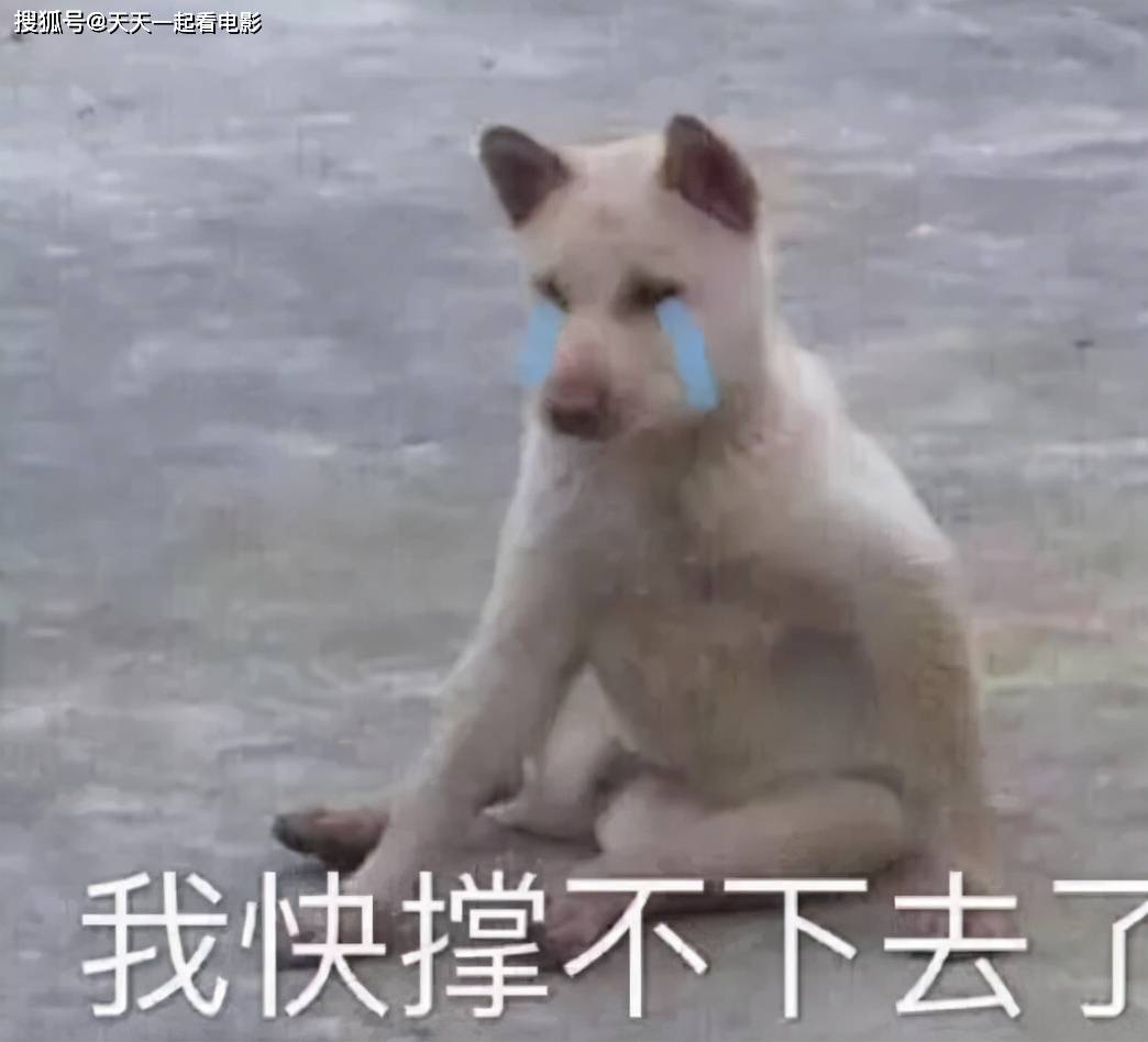 因为|人气车模不爱男人爱上车，事后意外怀孕，为隐瞒用发簪捅杀胎儿