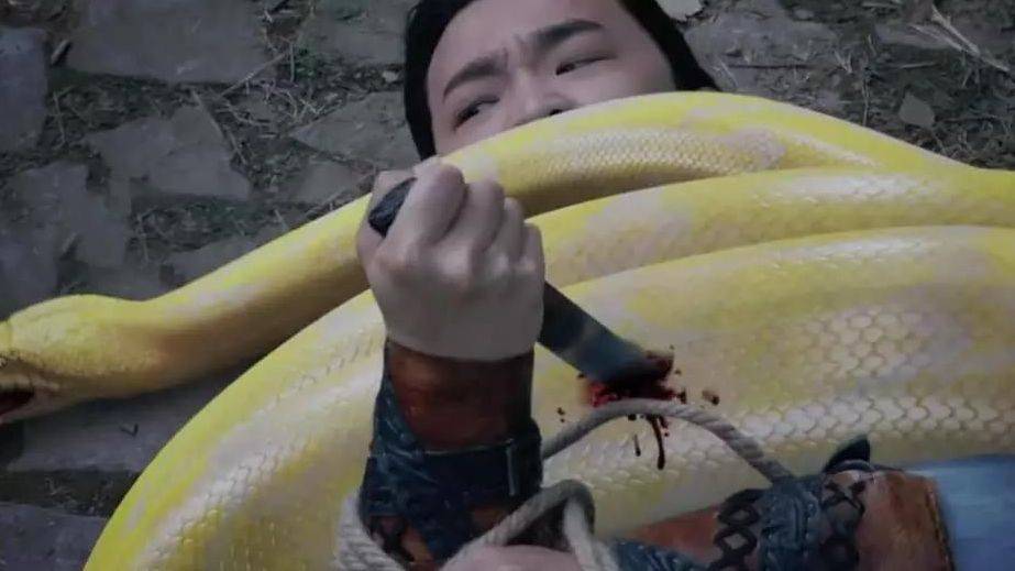 名字|8部评分低于3分的剧，第一名主演自己都不看，最后一部太过雷人