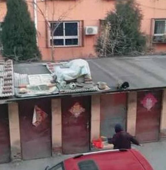 什么冻手就该揣兜，动物们都开始“农民揣”了