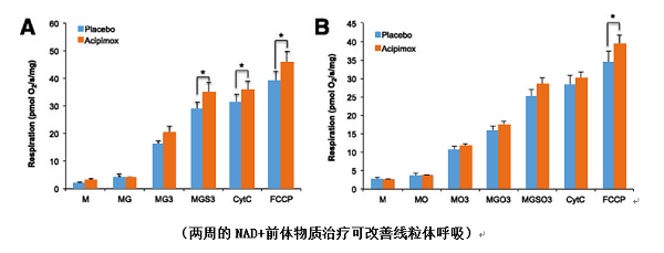 功能|LLT NMN唤醒生“肌”力,有效改善老年人肌少症