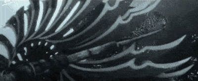 国产|人人都在夸这部国产大片,但我更喜欢会犯错的张艺谋