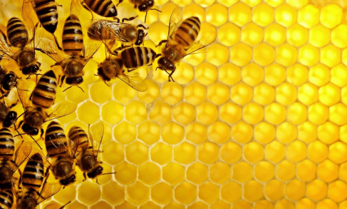 杨先生|45岁男生患高血糖，不到两年“恶化”成糖尿病，原因竟是这3种食物