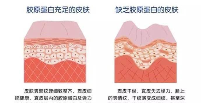 补充周迅——被衰老淘汰的灵气少女