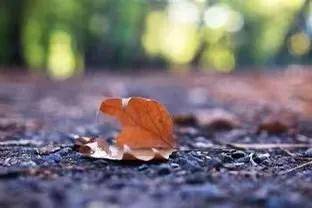 阳光|西安高新科技职业学院校园景色 | 和煦秋日