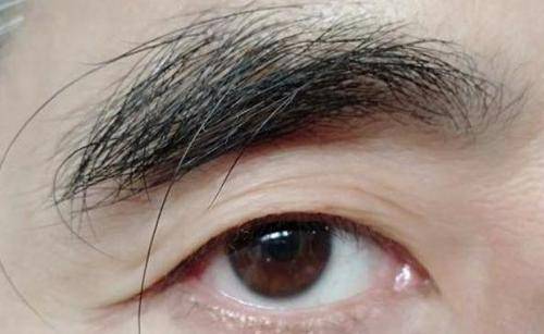 水平俗话说“眉毛一根长，胜过万担粮”，50岁后眉毛变长，代表了什么