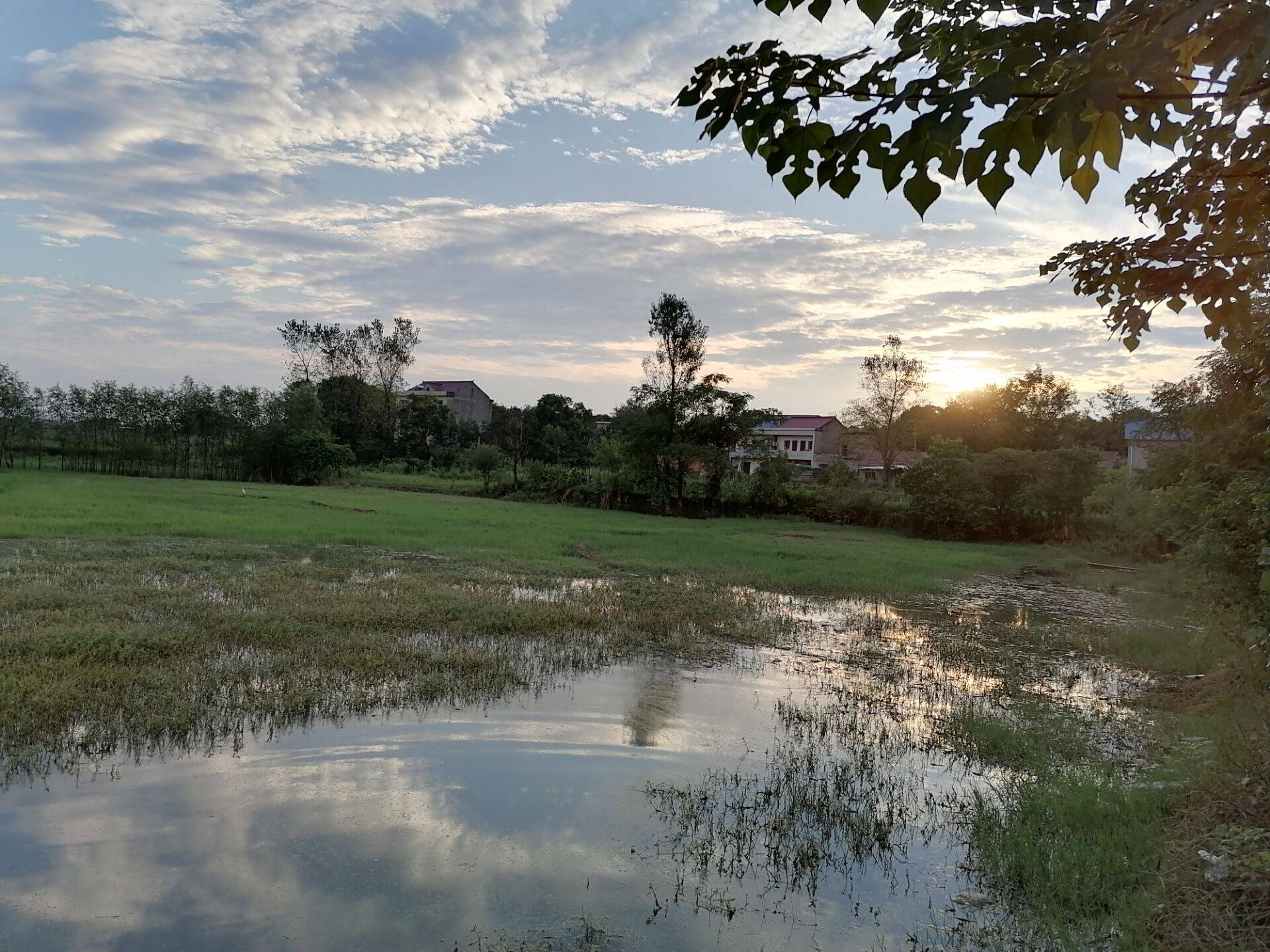 德安县丰林镇：臭水池变成清水塘|清水塘|池塘|水池_新浪新闻