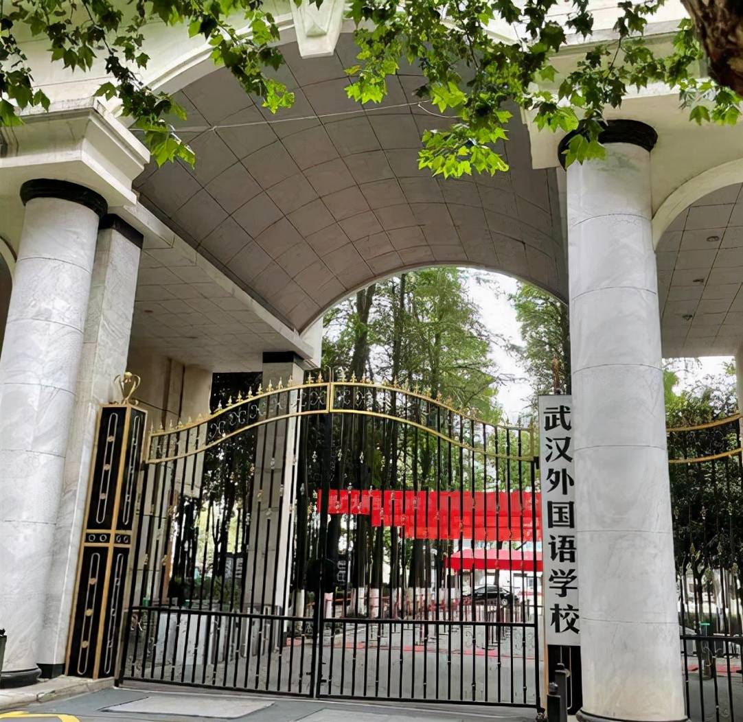 原创湖北省29名高中生已率先拿到清北入场券实力不俗值得敬佩