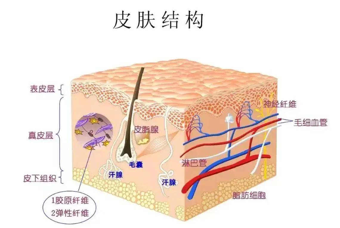 表皮层艾美姿CU | 单纯的靠涂抹，能呈现奶油水光肌？醒醒咯