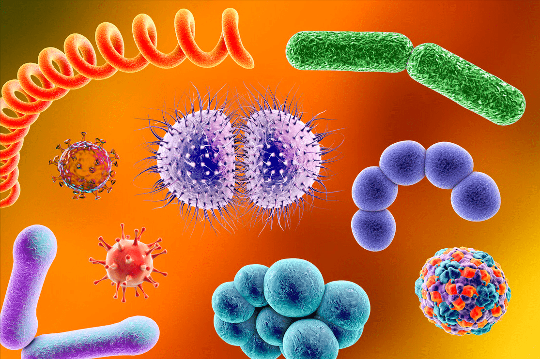效果|常吃头孢呋辛、罗红霉素、左氧氟沙星，要注意什么？看药师怎么说