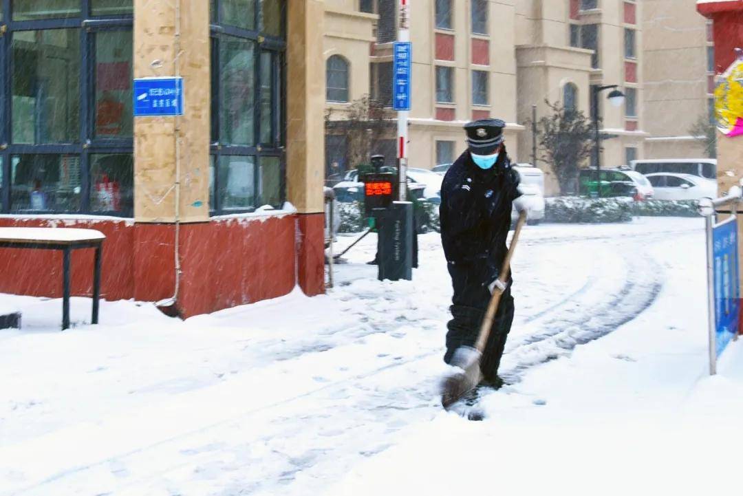 视频|你猜！雪中的武清有多美！