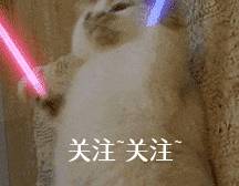 气味|狗狗不让你摸爪子，蕴含着这些深意！