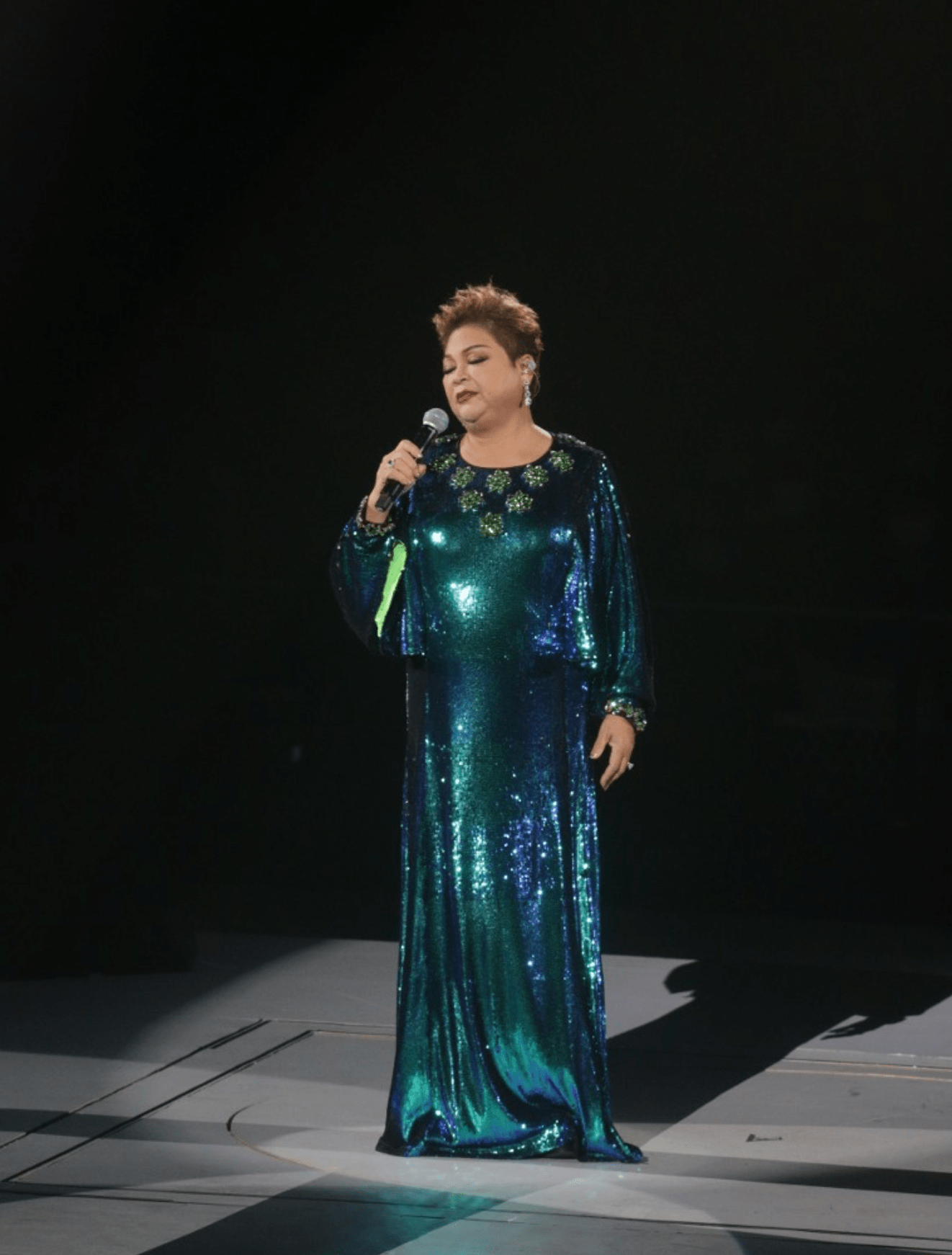 96岁uncleray举办红馆演唱会打破胡枫89岁纪录杜丽莎压轴献唱