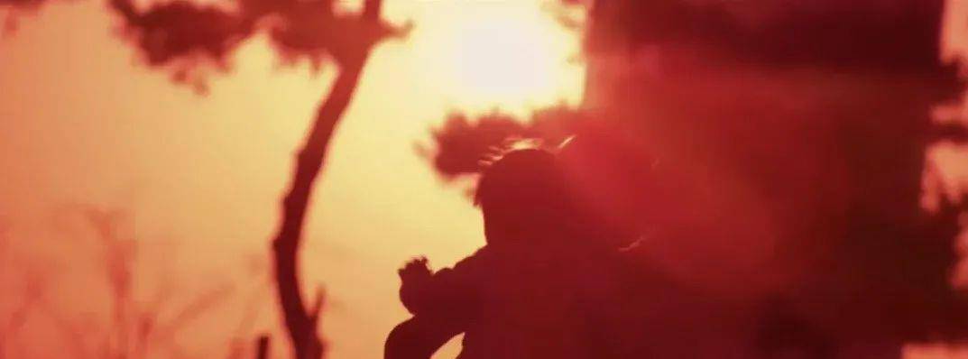 泡菜|又一黑马？这才是科幻悬疑