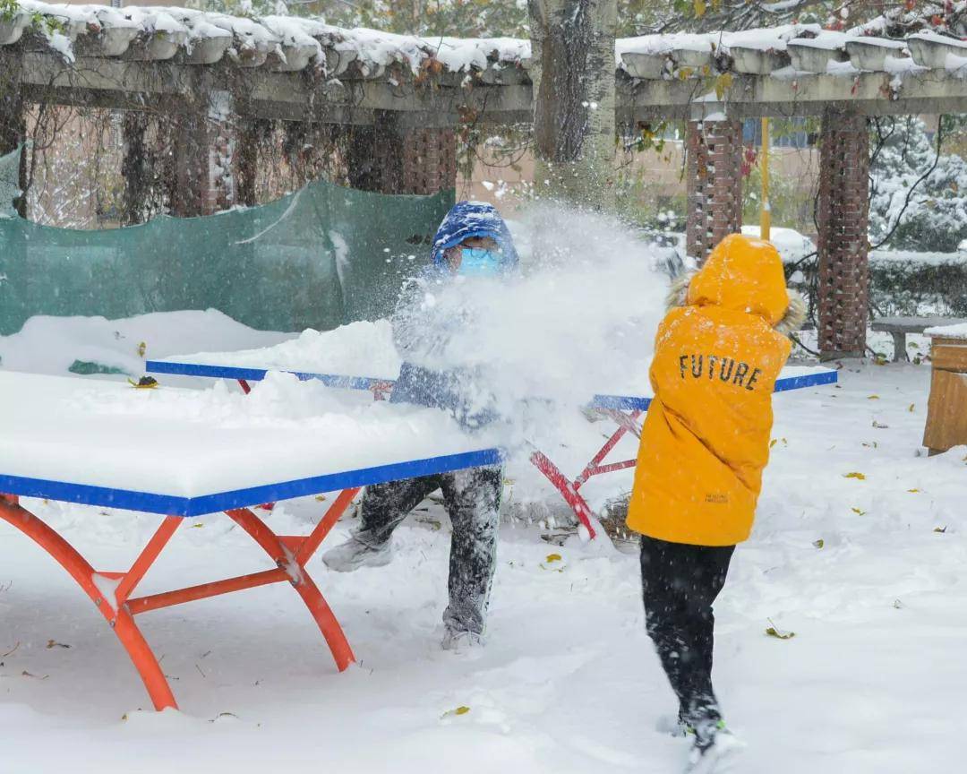 视频|你猜！雪中的武清有多美！