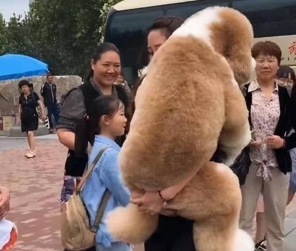什么有一种“沙雕”的欢乐，叫做遛狗！