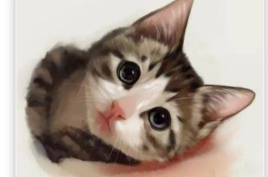 因为|养猫攻略,值得推荐的猫零食