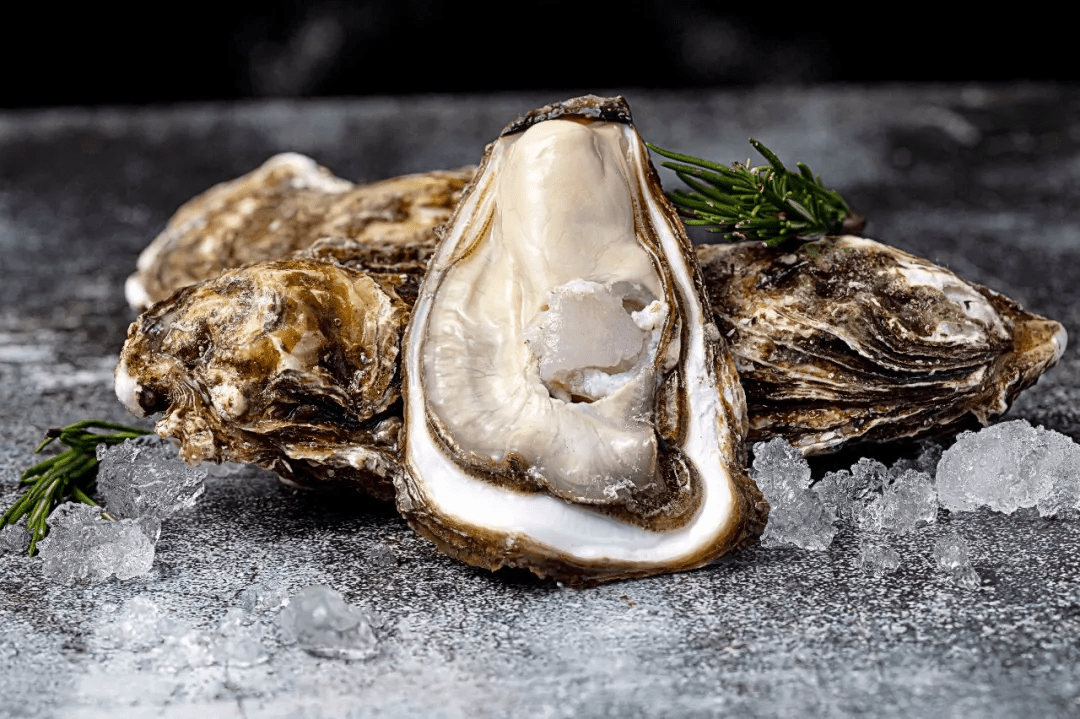 辰颐物语正宗乳山生蚝蚝门盛宴尽享鲜美
