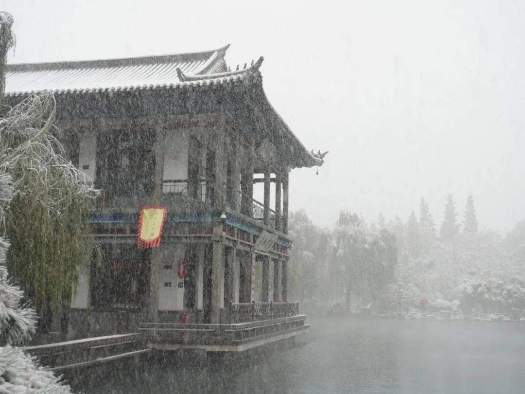 雪花|如约而至！近十年最早初雪光临济南，快收好这份雪景大赏，足不出户看雪映泉城