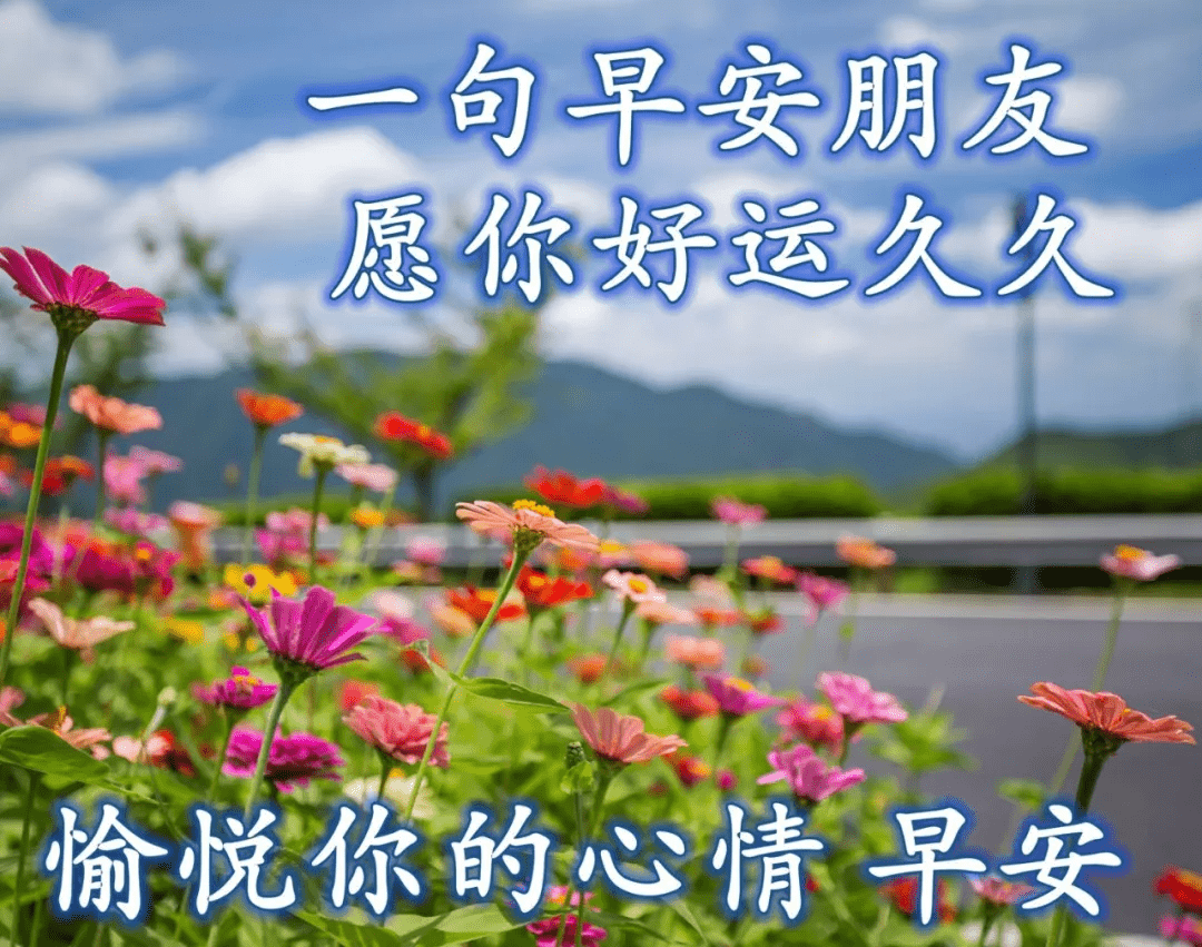 原創最新創意唯美早安早上好圖片免打字聊天的祝福語圖片精選