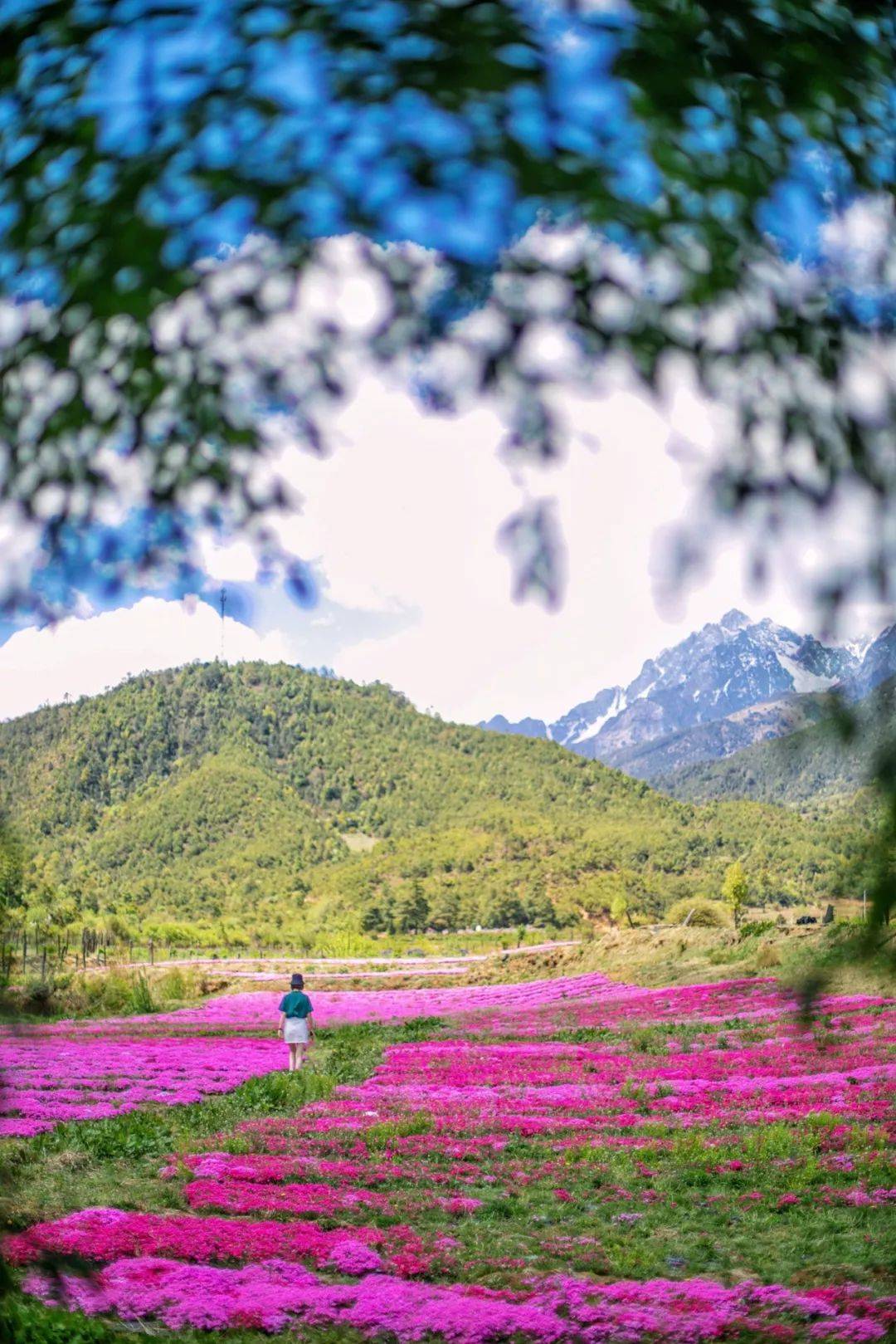 原创想你一次心痛一次心痛一次想你一次什么时候才能不想你