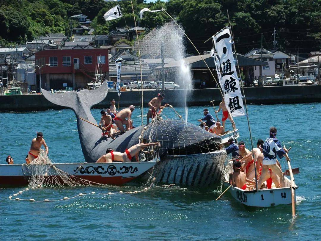 原创日本人以捕杀鲸鱼为乐趣?为何被罚款80亿仍执意要杀?有小心思