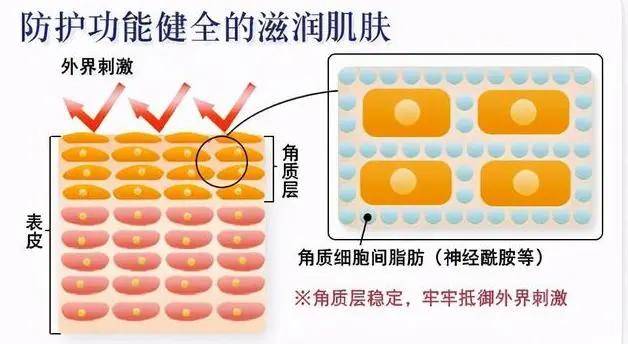 产品三甲医生开的「神仙乳」！