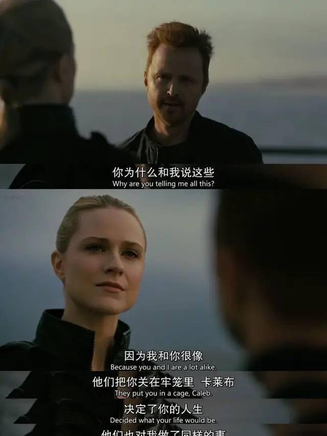 治愈|不愧是汤姆·汉克斯，撑起了人、狗、机器的末日旅程