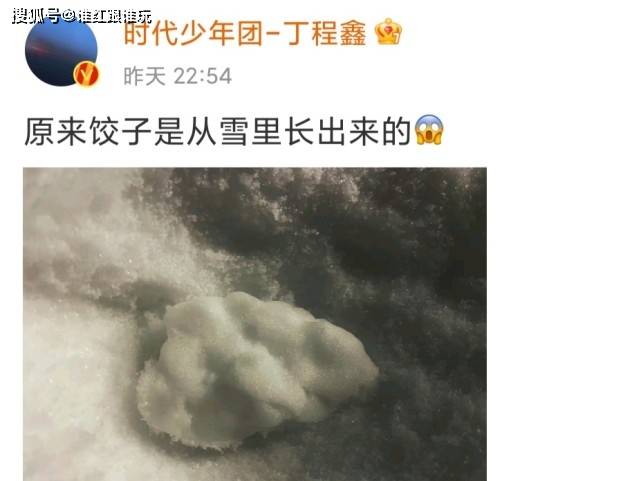 时代|初雪过后，时代少年团就变成了可可爱爱的“时代饺子团”