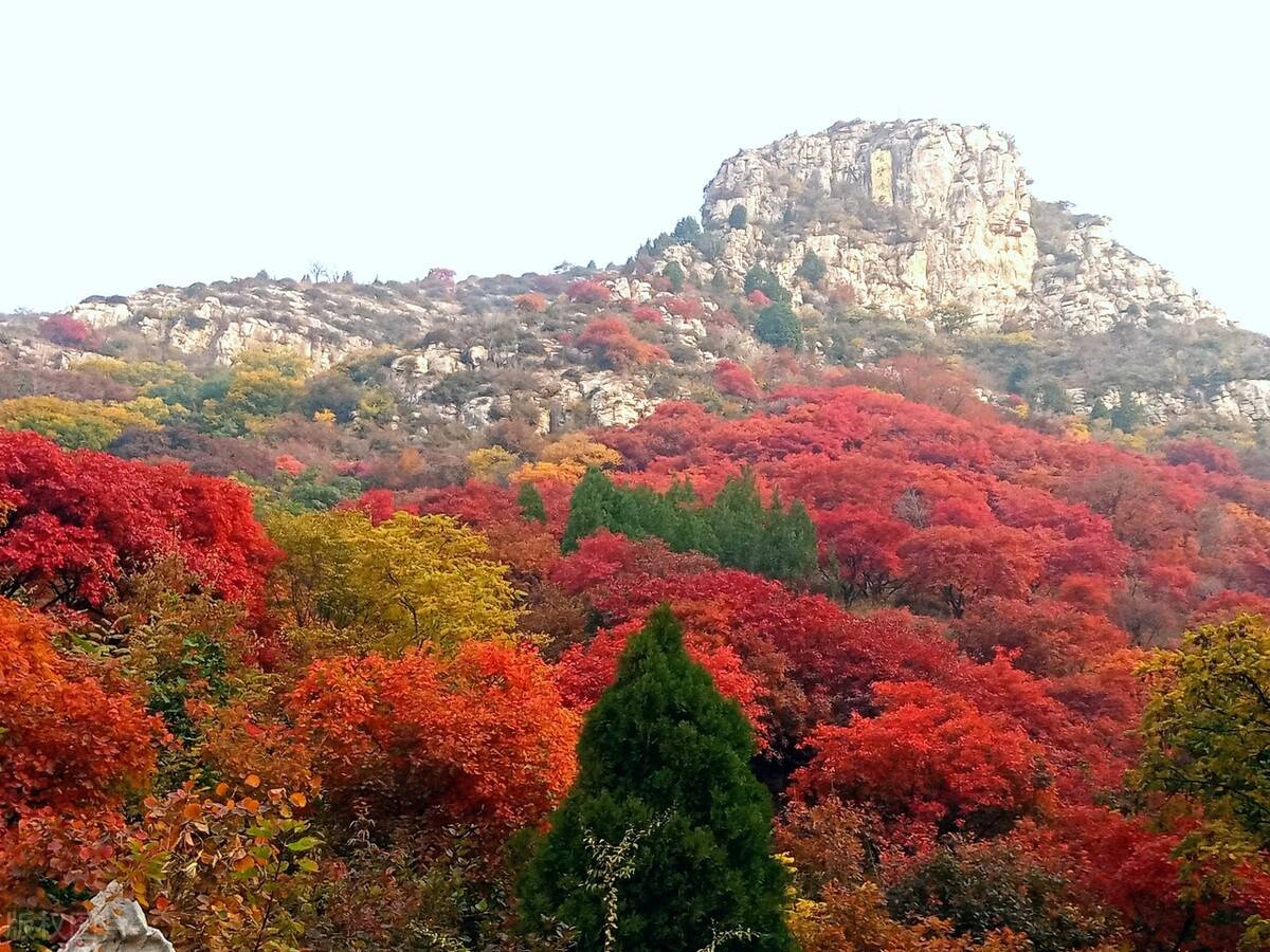 临朐竟然有这么多美景?