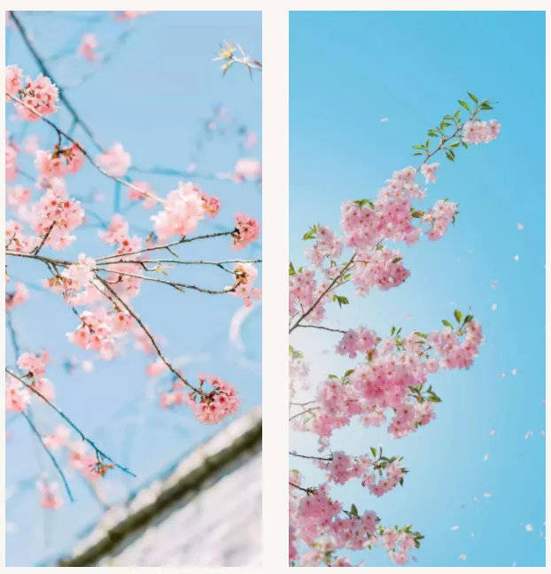 你的手机壁纸暴露了你的性格和喜好,你知道吗?_屏保
