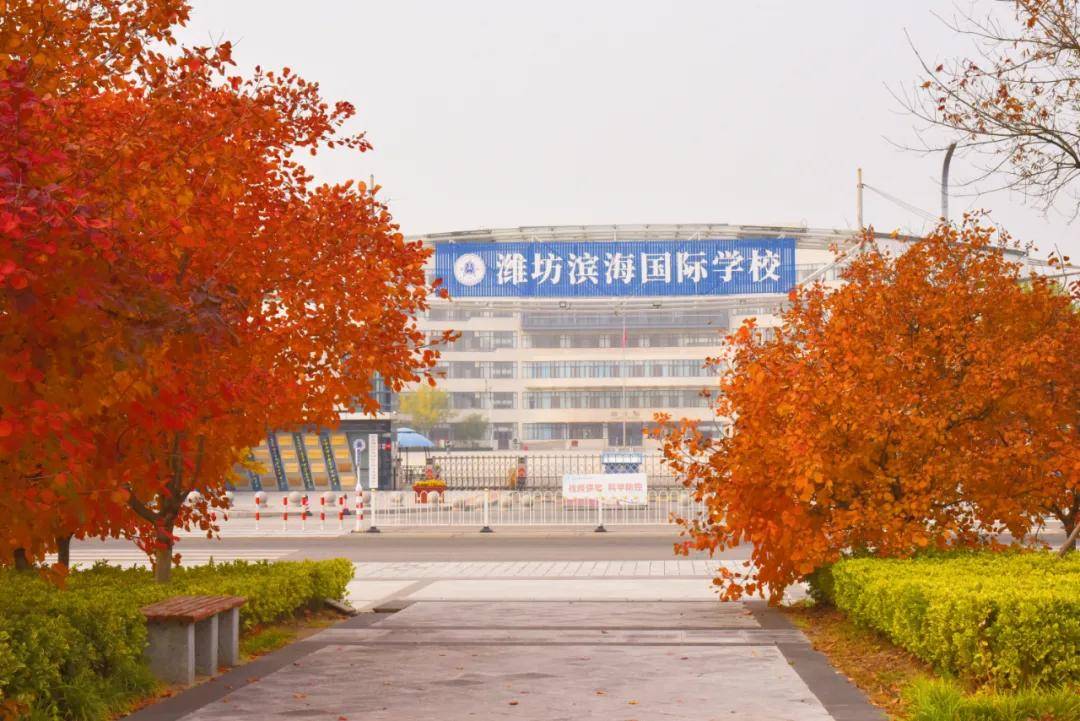潍坊滨海国际学校图片